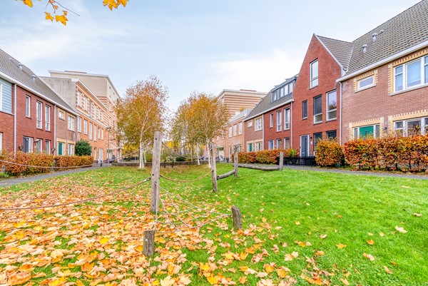 FREYJAPLANTSOEN 3-40.jpg